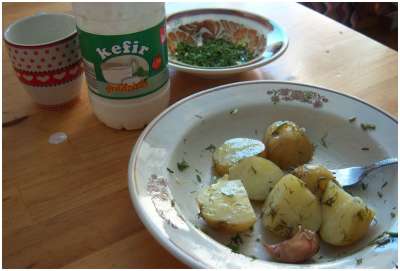 młode ziemniaki z koperkiem i kefir